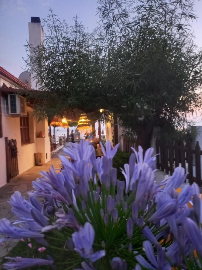 Traditional Arsanas Apartments Nikiti  Exterior foto